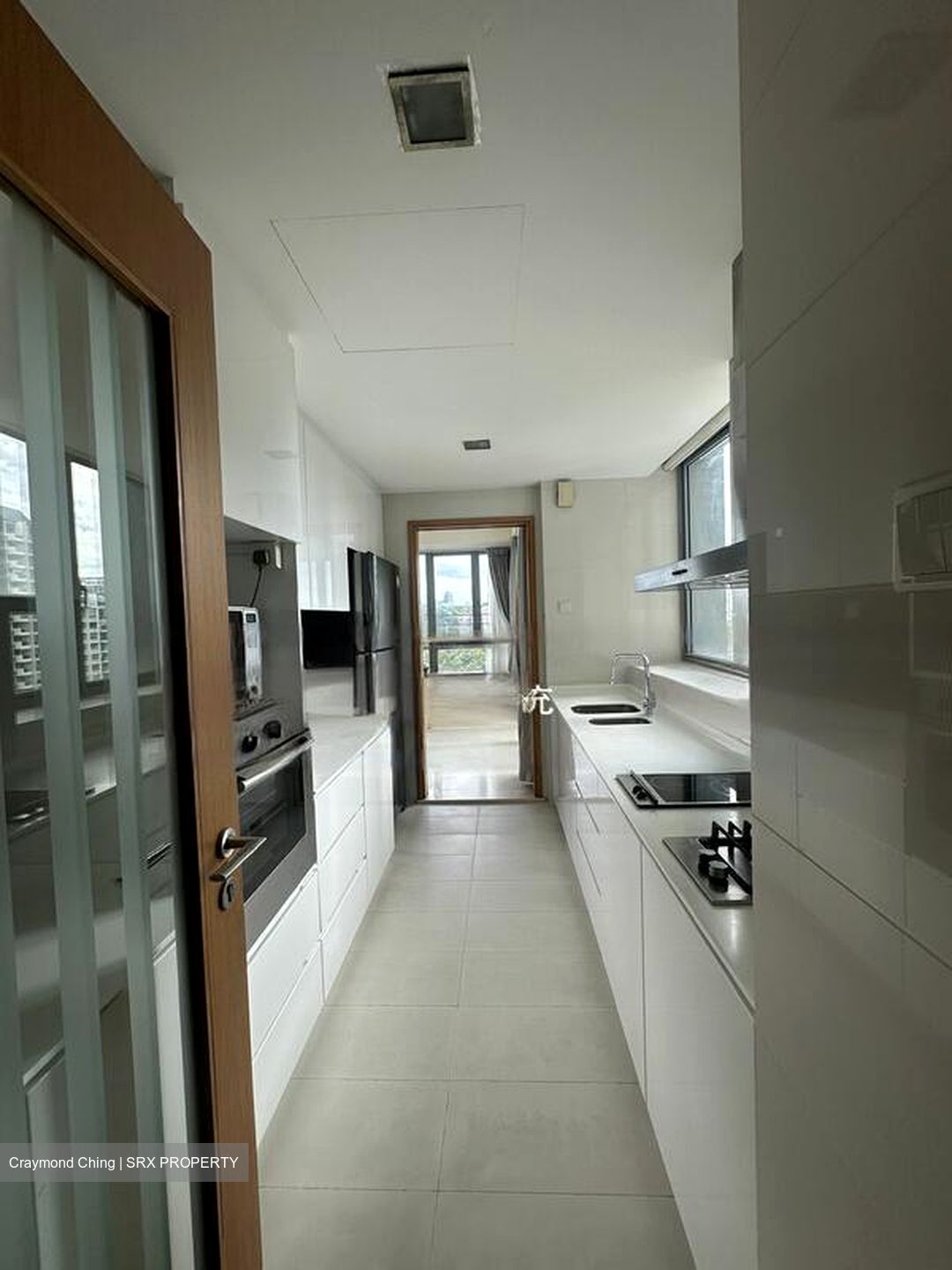Park Infinia At Wee Nam (D11), Condominium #620972211